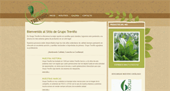Desktop Screenshot of grupotrevino.com